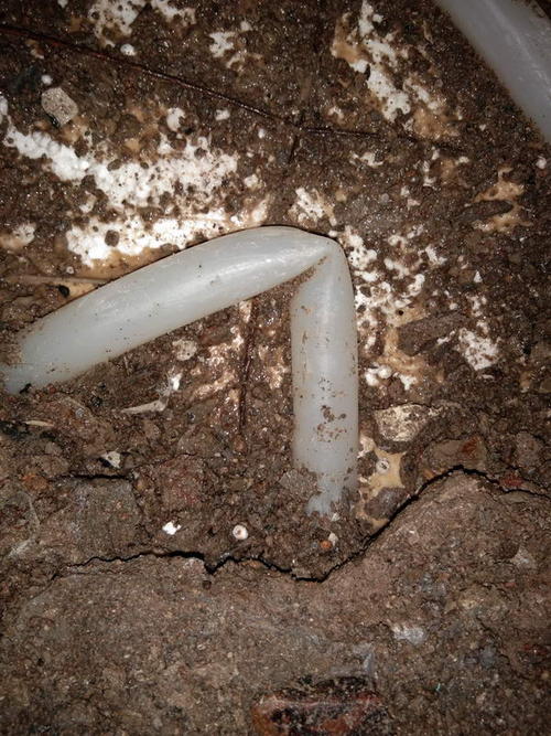 隆尧堵点精准查找